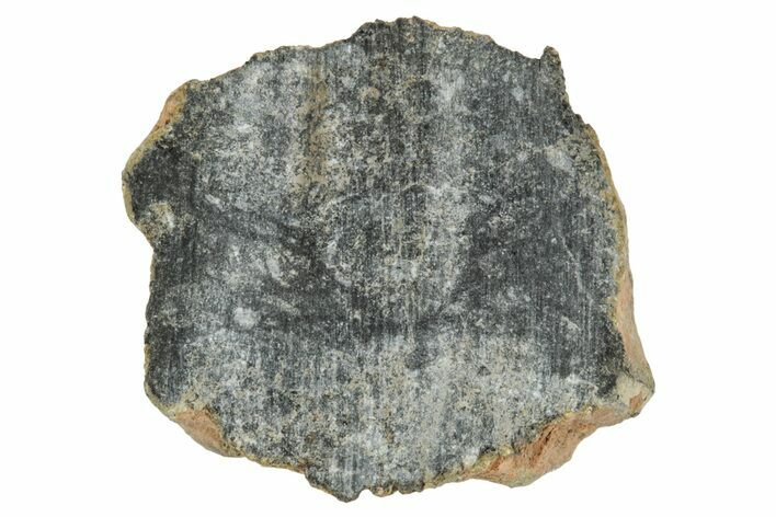 Polished Lunar Meteorite ( g) End Cut Slice - NWA #333141